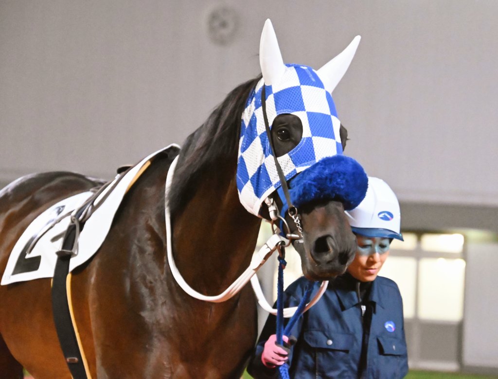 Mr. jhonxx211 exclusive majestic  カージナルス Mr. jhonxx211 exclusive majestic カージナルス Mr. jhonxx211