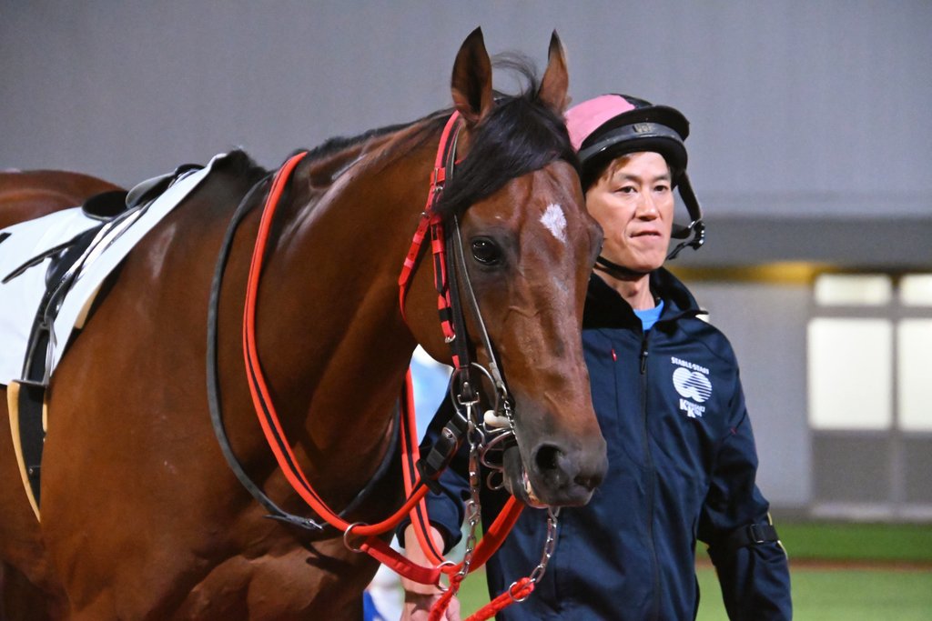 トリスリナックス　みのり（やまのうち）ページ mqdefault.jpg