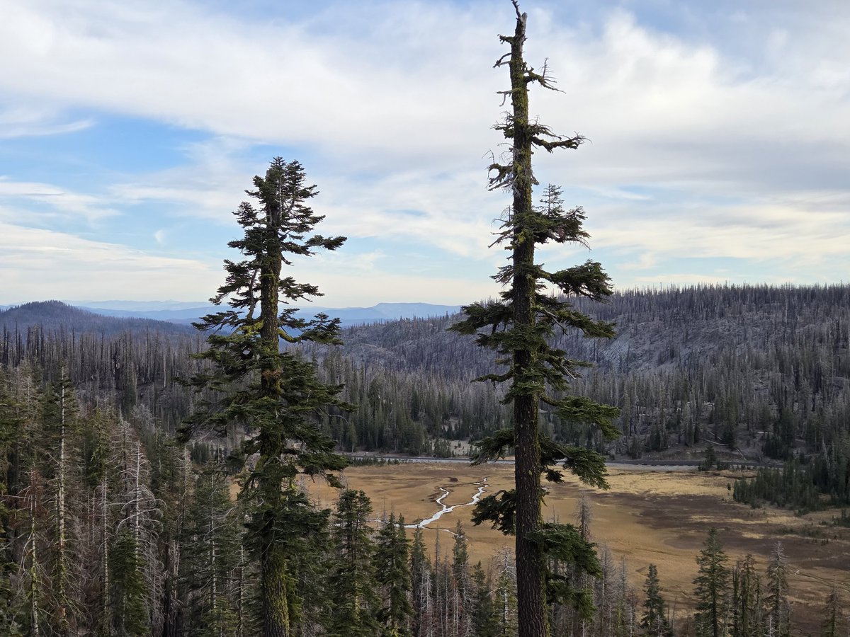 _AlleyAwesome's tweet image. Before snow (likely tonight) closes the Lassen Park Rd, I'd figured I'd make the once a year trip through-as opposed to around the park
#happyfall #firstsnowcomin