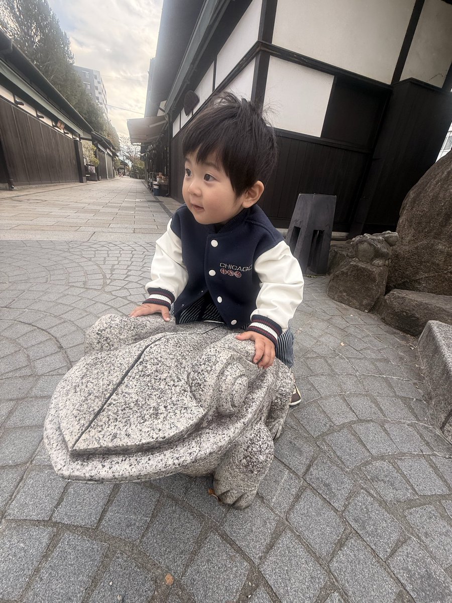 source502918608's tweet photo. 相棒は🐸
#一歳六ヶ月 https://t.co/RZtRYLIOK2