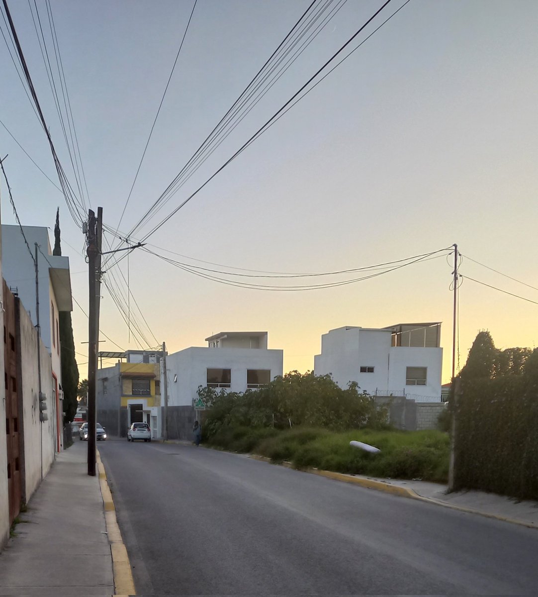 ¿Y de esto quién se hace cargo?
Es parte de la limpia que pagamos ¿cierto? <a href="/TonantzinFdz/">Tonantzin Fernández</a> <a href="/GobiernoCholula/">Gobierno de Cholula</a>  banquetas cubiertas por la maleza, ya ni se diga las vías o el terreno frente a la gran bodega de #forjadores o los hoyos de las calles #Momoxpan #Ayuda