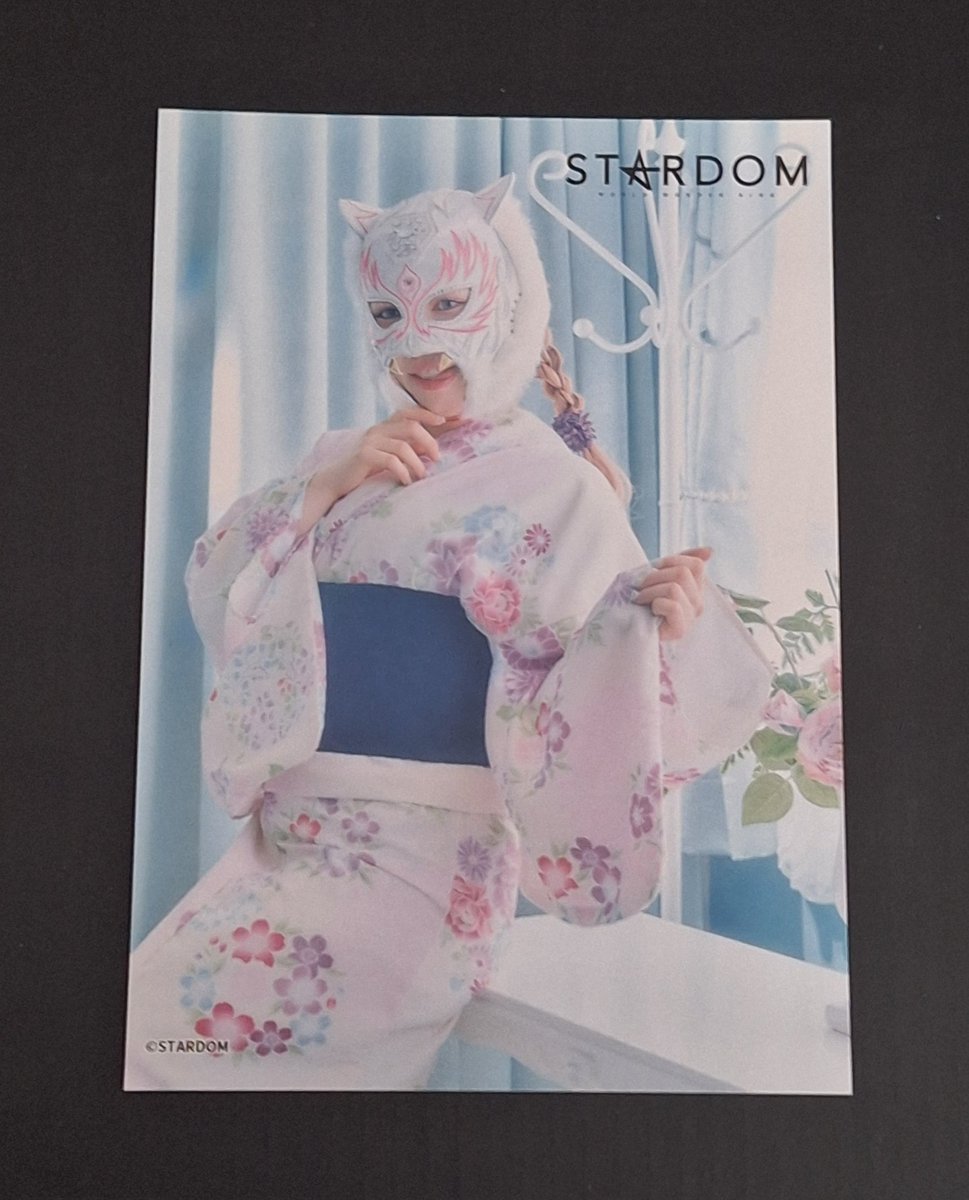 A <a href="/StarLight_Kid11/">スターダム💙スターライト・キッド🐯🤍</a> #STARDOM mini portrait #SLKDaily #SLK