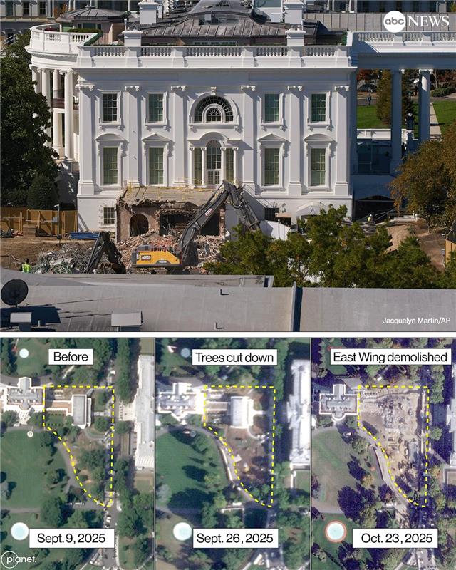 ABC's tweet image. Satellite images show President Trump's project to build a grand ballroom has appeared to take down at least six trees on the White House grounds — including two historic magnolia trees commemorating Presidents Warren G. Harding and Franklin D. Roosevelt. abcnews.link/j5jABHe
