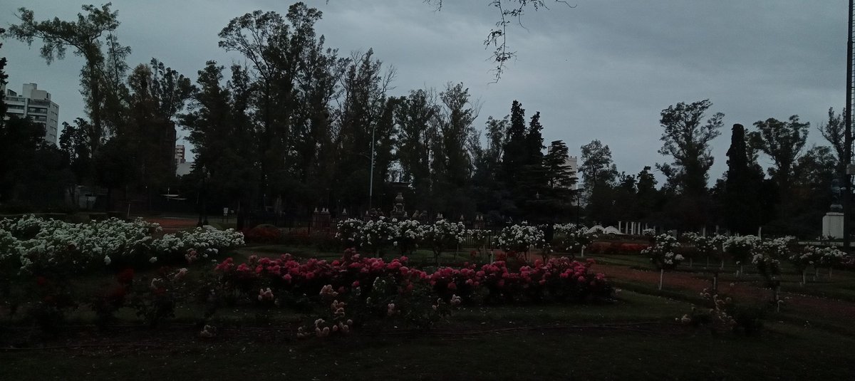 Astro Lucas tweet media