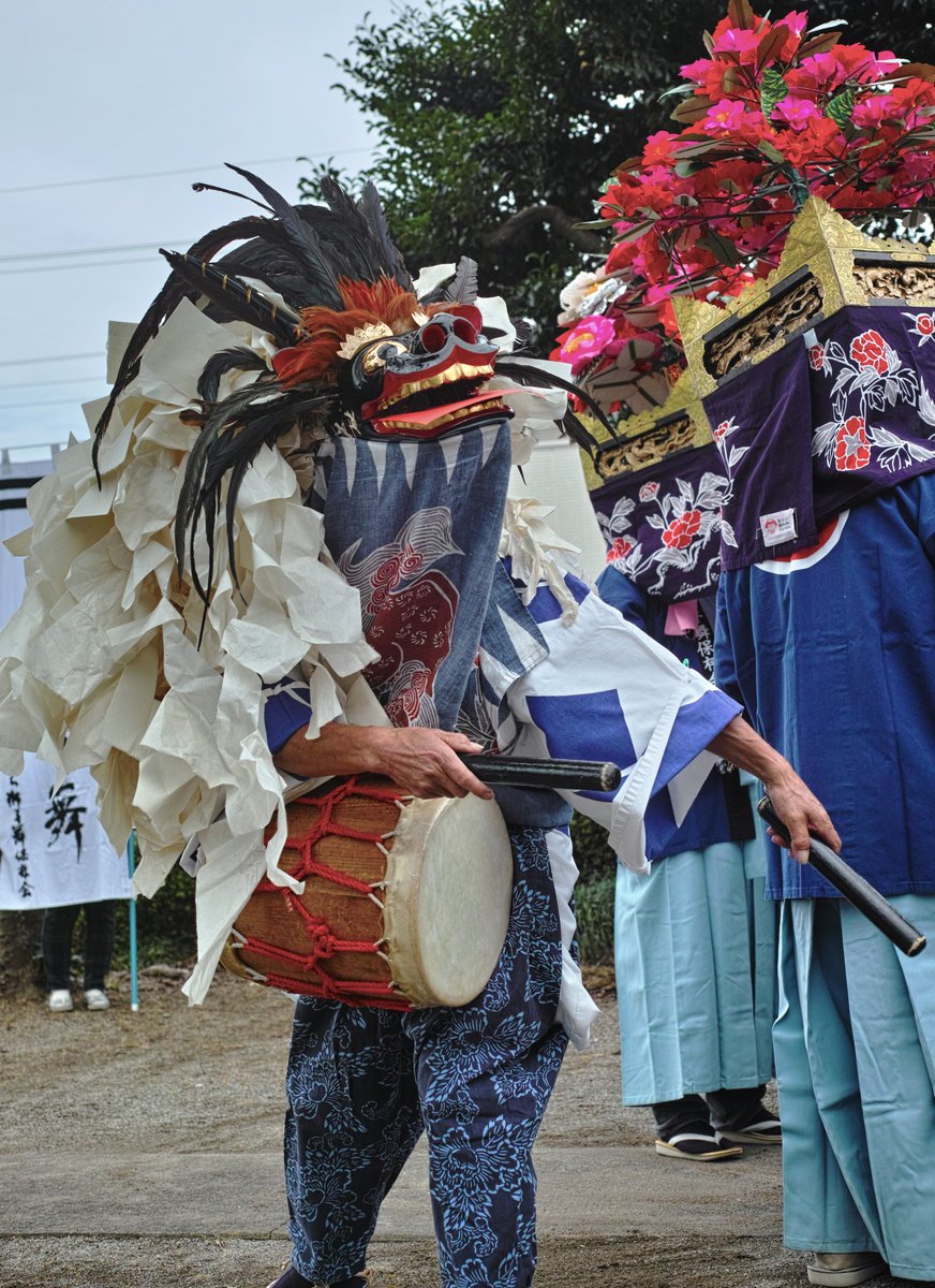 三匹獅子暦 (@sanbikijishi) / Posts / X