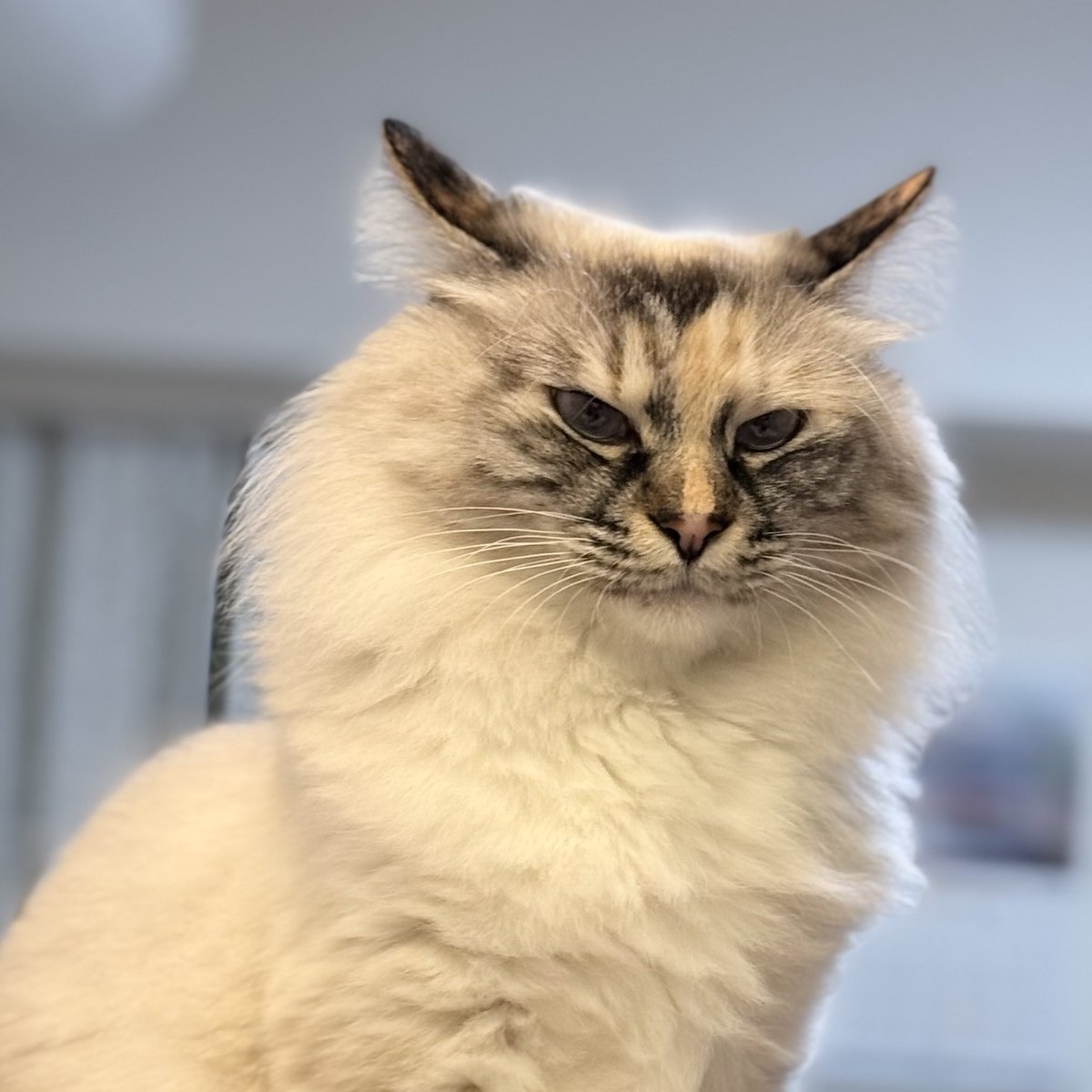 いずもん/まろ様＊mfmf (@7nfxwoi3F8lSqHU) / Posts / X