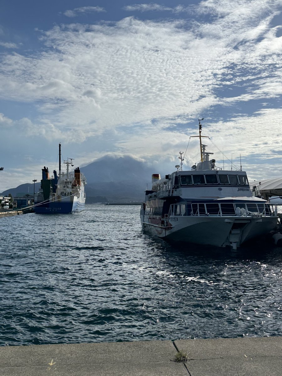 ５０号日本画額定価４５０００円位、金沢市小立野まで、取りに来られる方 ありがとうございます。