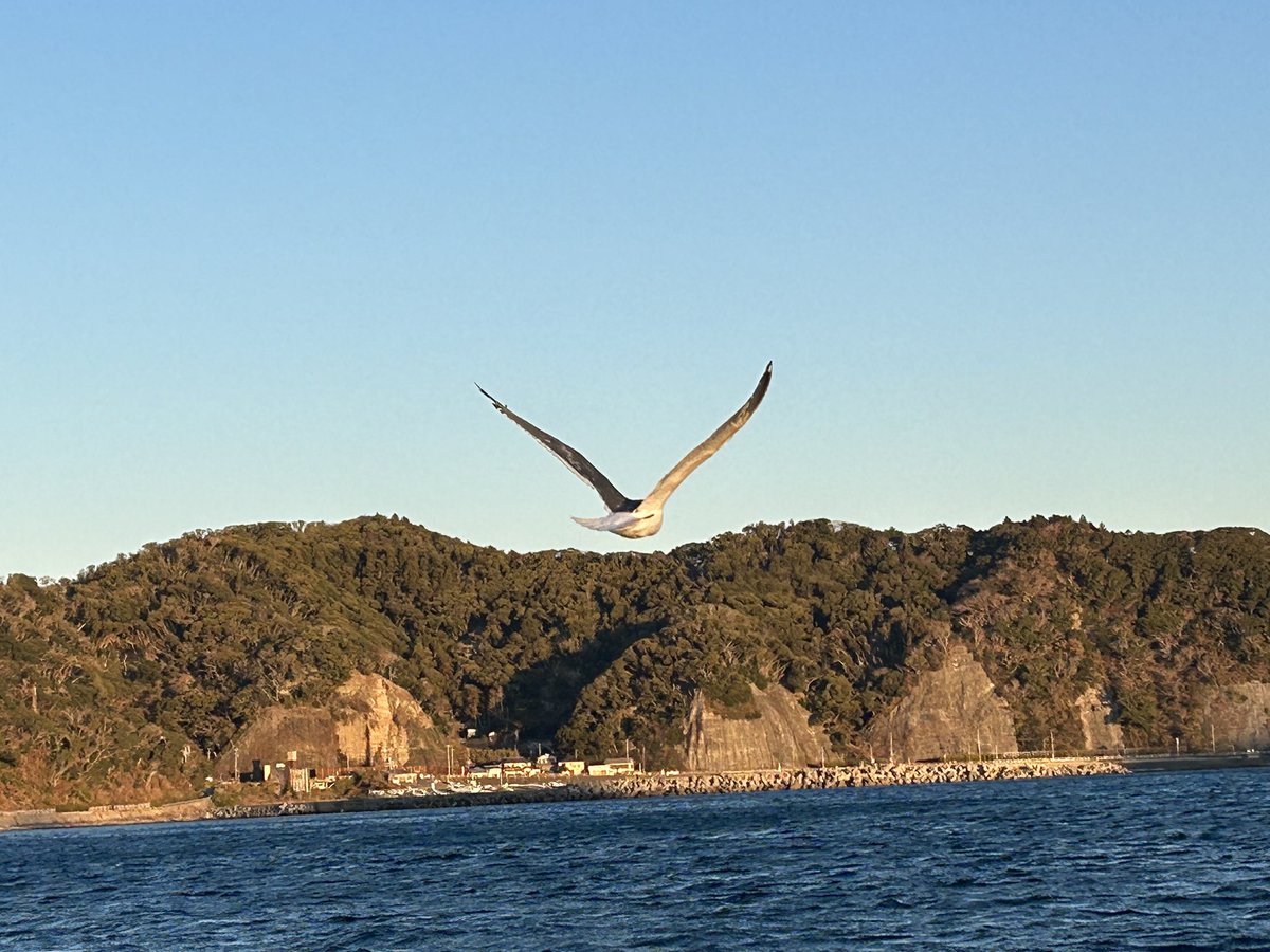 柘榴船 mqdefault.jpg