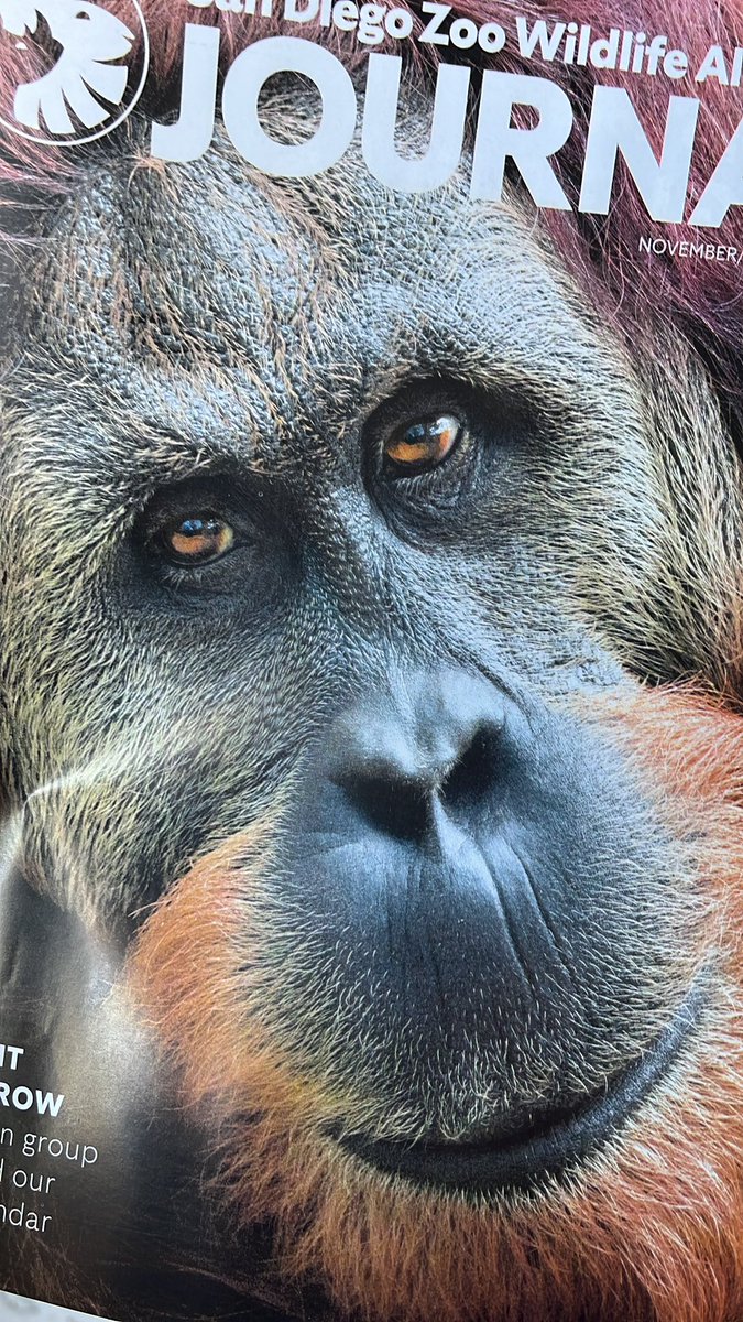 Sage π± VA (@unscriptedsage) on Twitter photo mmmβ¦.. monke mmmβ¦.. monke