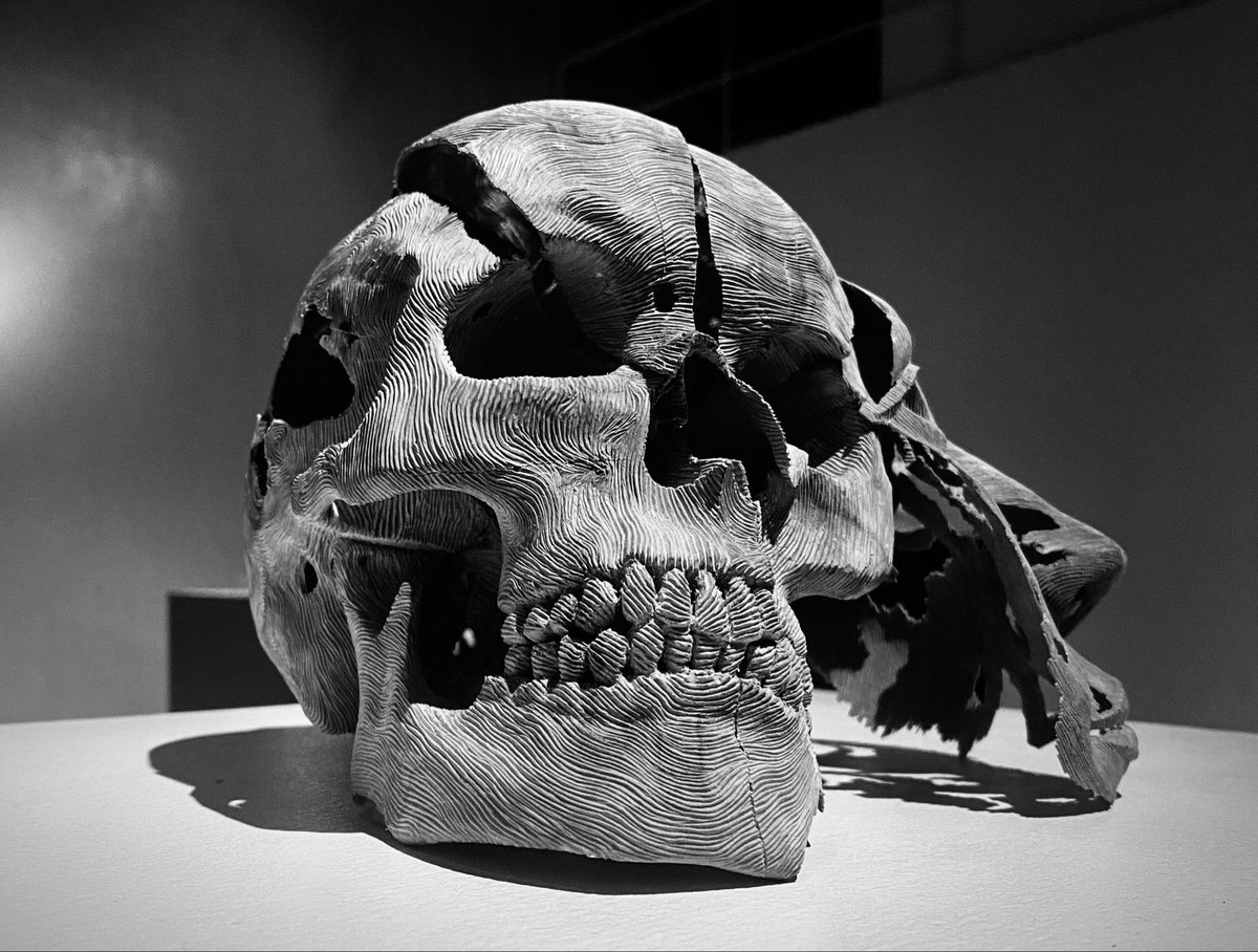 今は頭蓋骨を寝させて配置にしています。
皆様よろしくお願い致します。
x.com/fuma_bunkyoart…