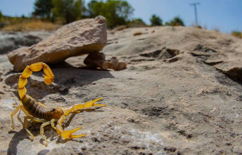 Yuri Simone tweet media