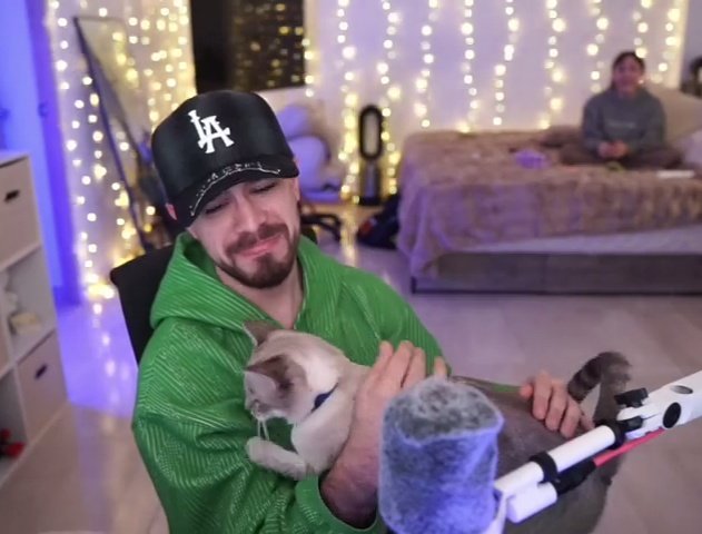 JUAN PORFAVOR TEN UN GATITO 😭