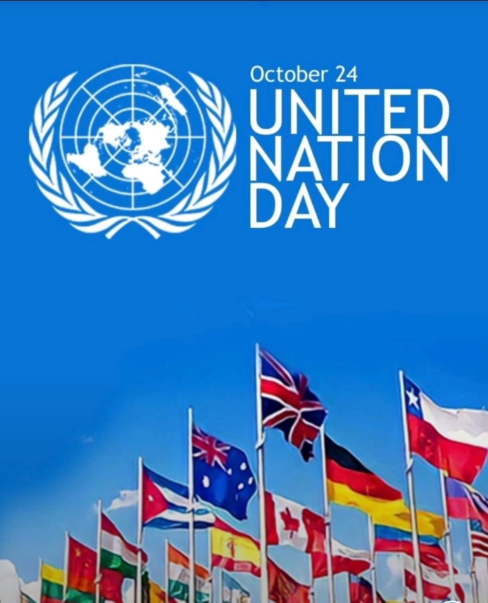 Irene Seme tweet media