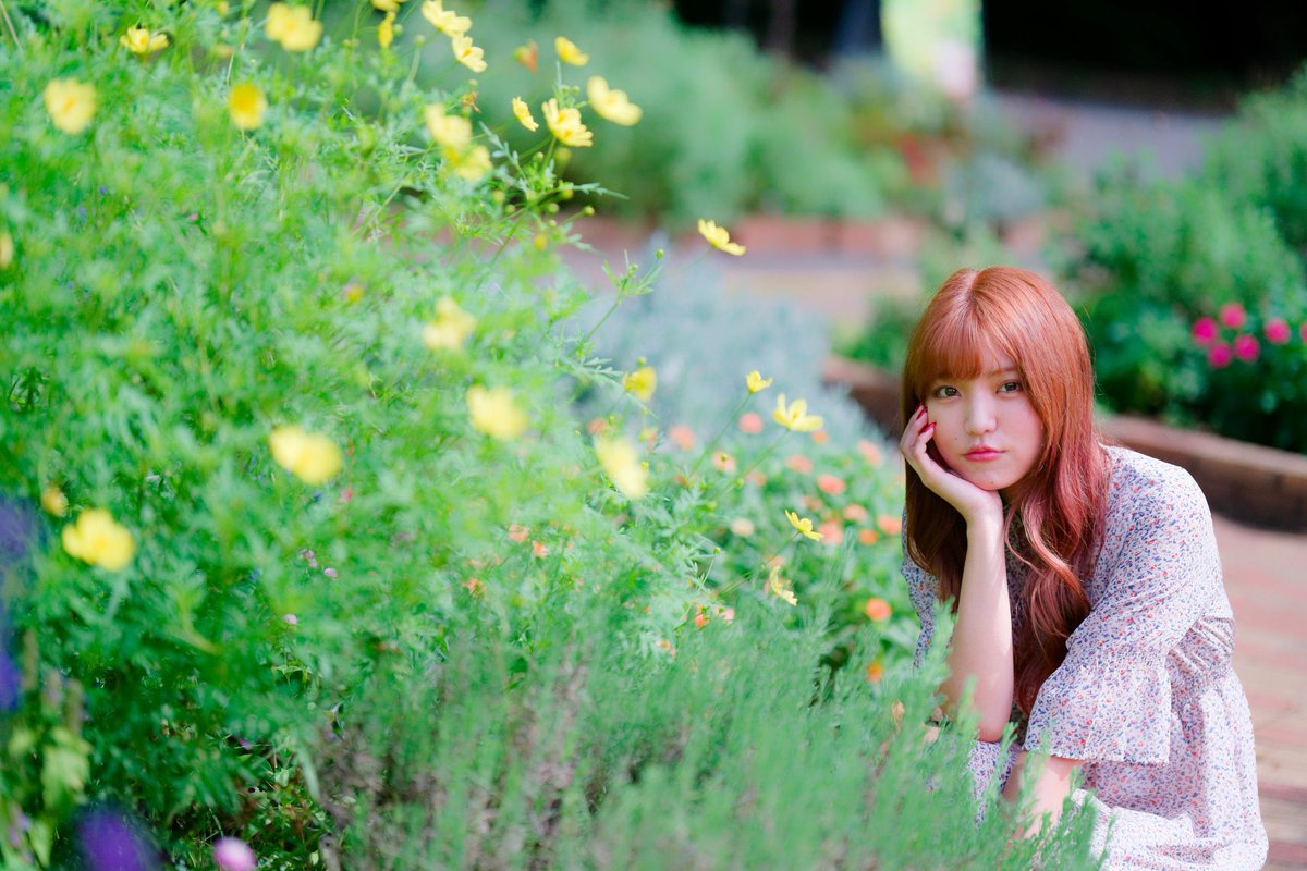 かえで (@FebWjSTDaX68711) / Posts / X