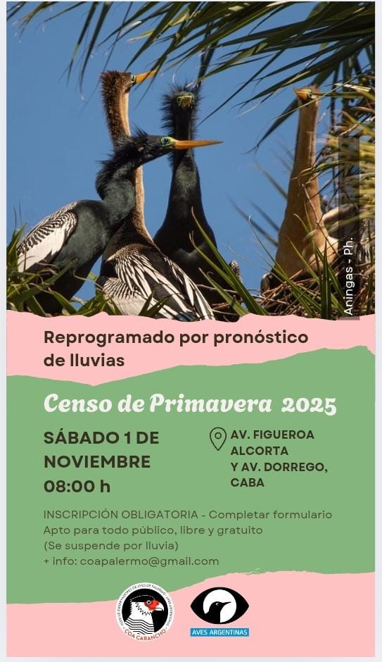 COA Carancho tweet media