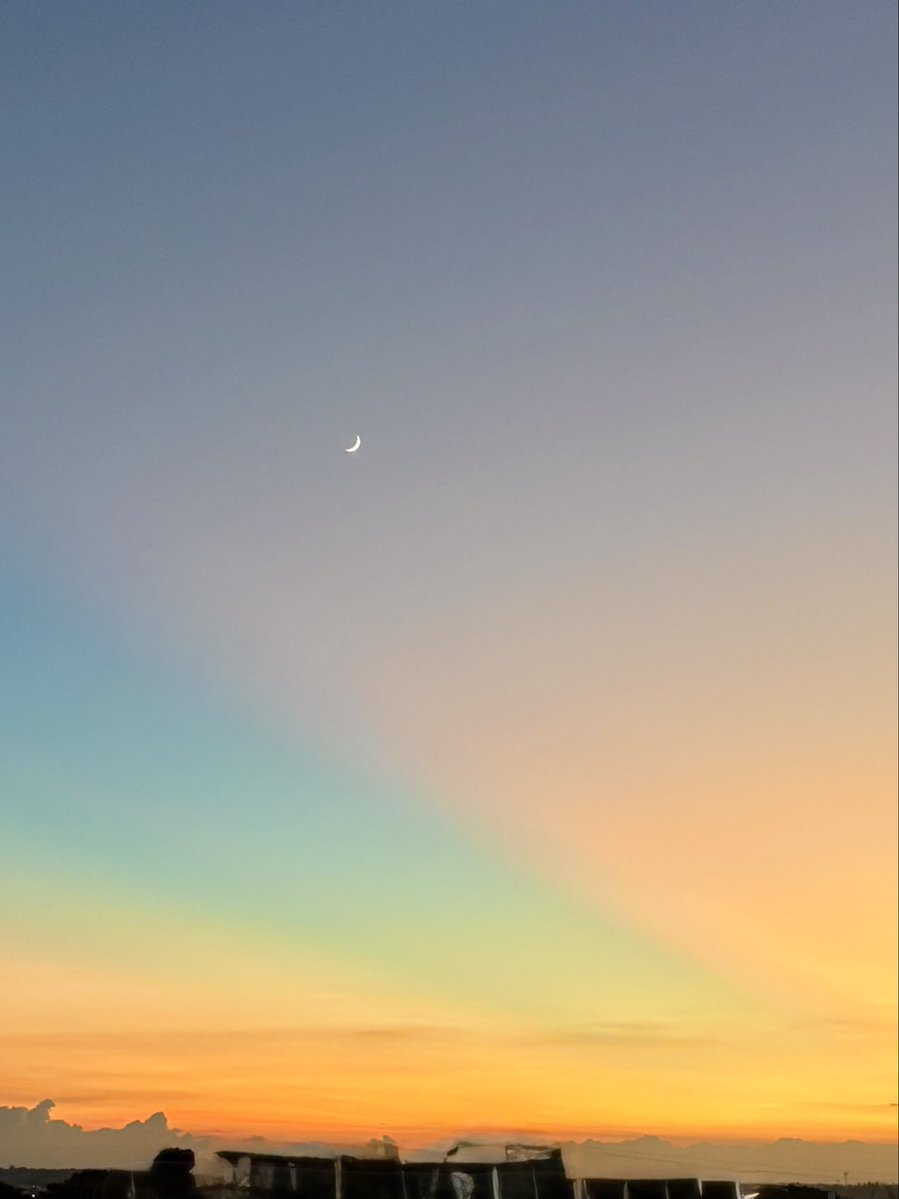Me basta salir para entender que el cielo dice cosas, la luna lo sabe y yo les creo…