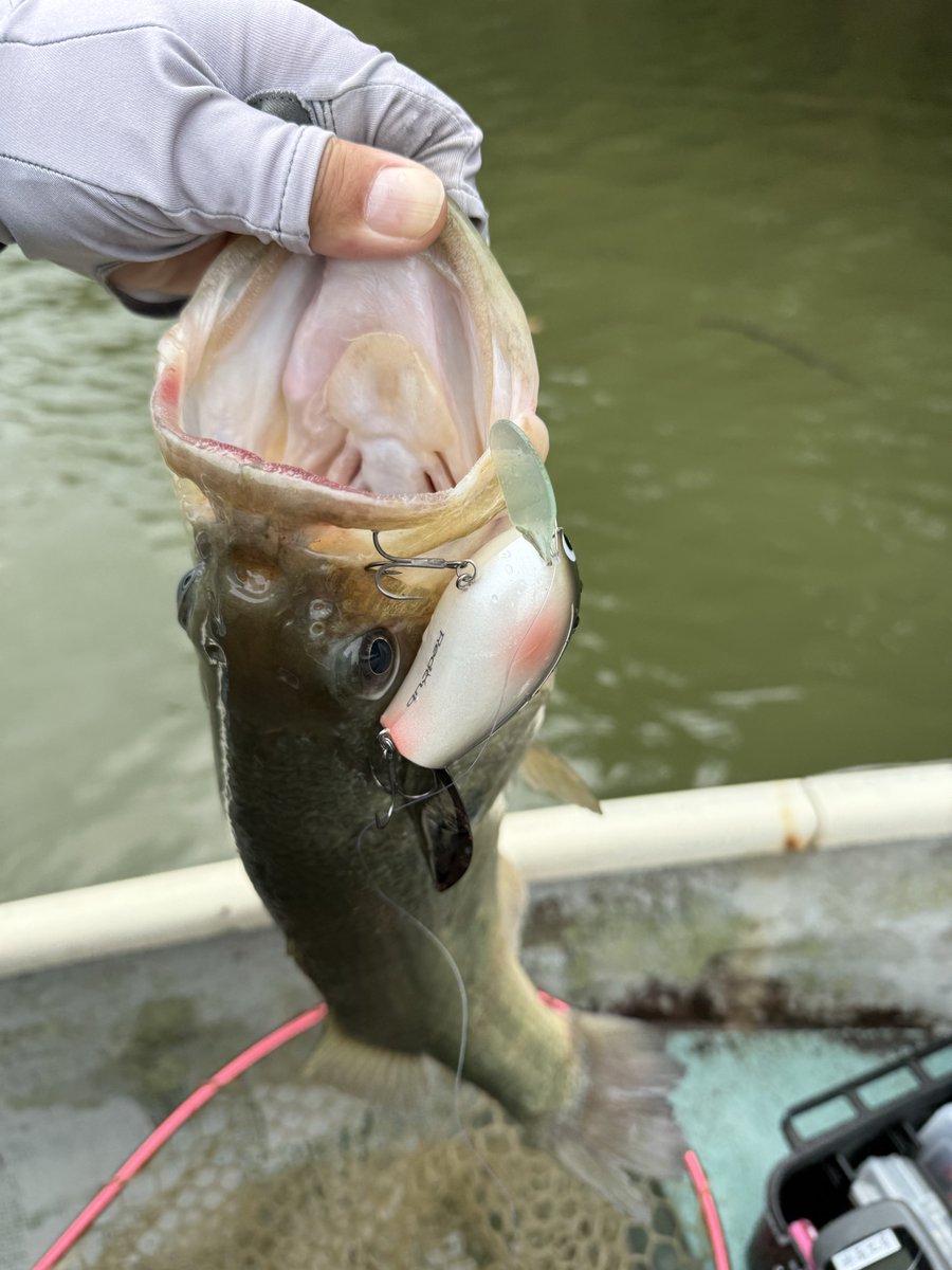 早いもの勝❗️Bricesurfboard 27L❗️購入後Wax綺麗に落とします❗️ 早いもの勝❗️Bricesurfboard 27L❗️購入後Wax綺麗に落とします