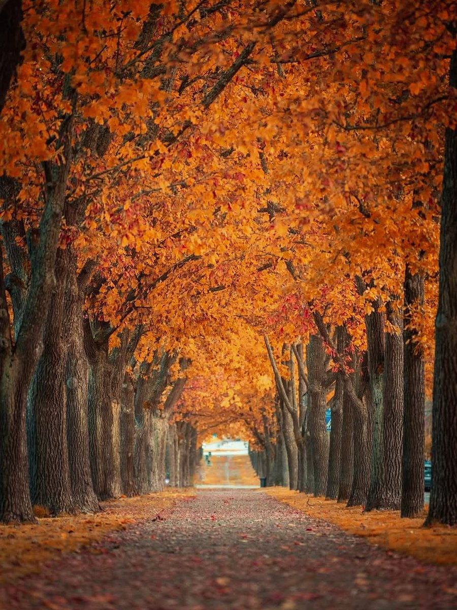 Good morning  a very nice weekend for all
Porvoo,  Finland 🇫🇮📷©  Niko Laurila