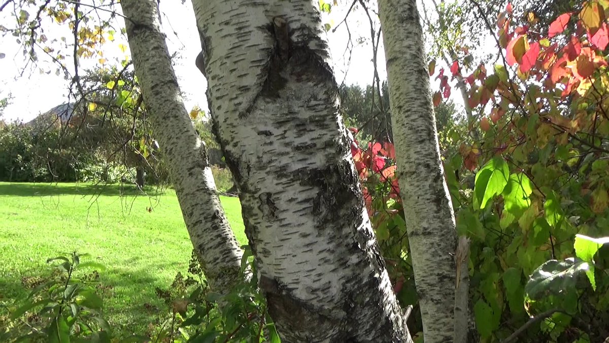 A GREAT WEEKEND!
<a href="/photoaotonao/">あおとなお</a> 
<a href="/morinagachalk/">森永チョーク</a> <a href="/poliwag_moon/">ニョロモファン</a> <a href="/yu5124/">優</a> <a href="/Ngkz_Ishichan/">いしちゃん</a> <a href="/55iCA8UxJkfhhEc/">飲んべえ</a> <a href="/u_zensai_y/">農業生産法人　然菜</a> <a href="/RuoXi31355/">若松実喜男</a> @hiro_torazuki <a href="/ghilbatoro/">圧倒的shimayoshi</a> <a href="/hiruma_kuki/">晝間玖生</a> <a href="/horrorlove_2/">ホラー暫く不定期浮上【気持ちが落ちたら少しだけ浮上👋】</a> @naocoolove_1 <a href="/A3B2_SiO4_3/">KeiM</a> <a href="/EvShorinji50/">錫杖こぞう</a> <a href="/Br9Pj/">しんこ</a> <a href="/yuyuneko_camera/">ゆゆねこ</a> <a href="/TBbgWOBzTx2Bgu4/">きょたささらぞう</a> <a href="/CROWSOFGANGSTA/">愚連の鴉</a>