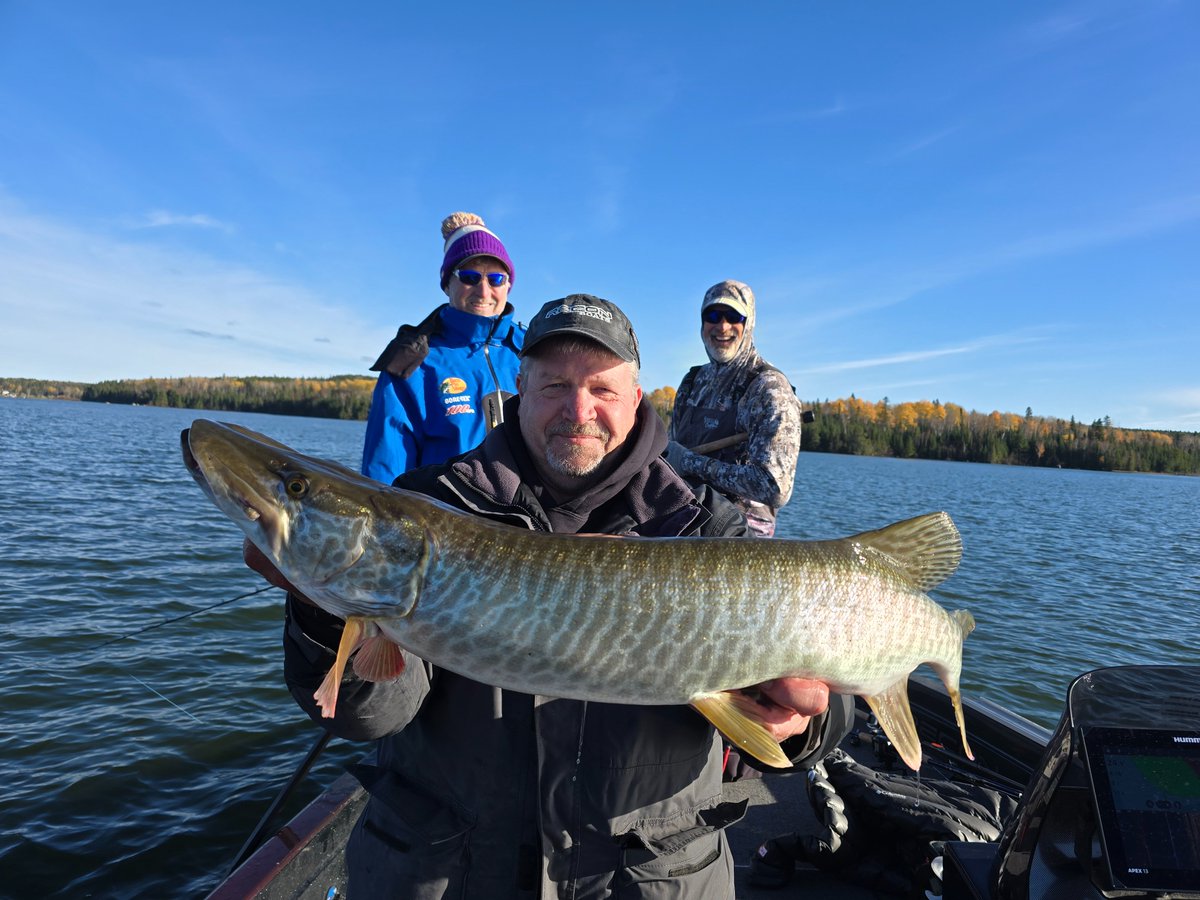 PeteMaina's tweet image. Nothing big, but apparently Friday is hybrid day.

#fridayfun #muskies #muskiessuck