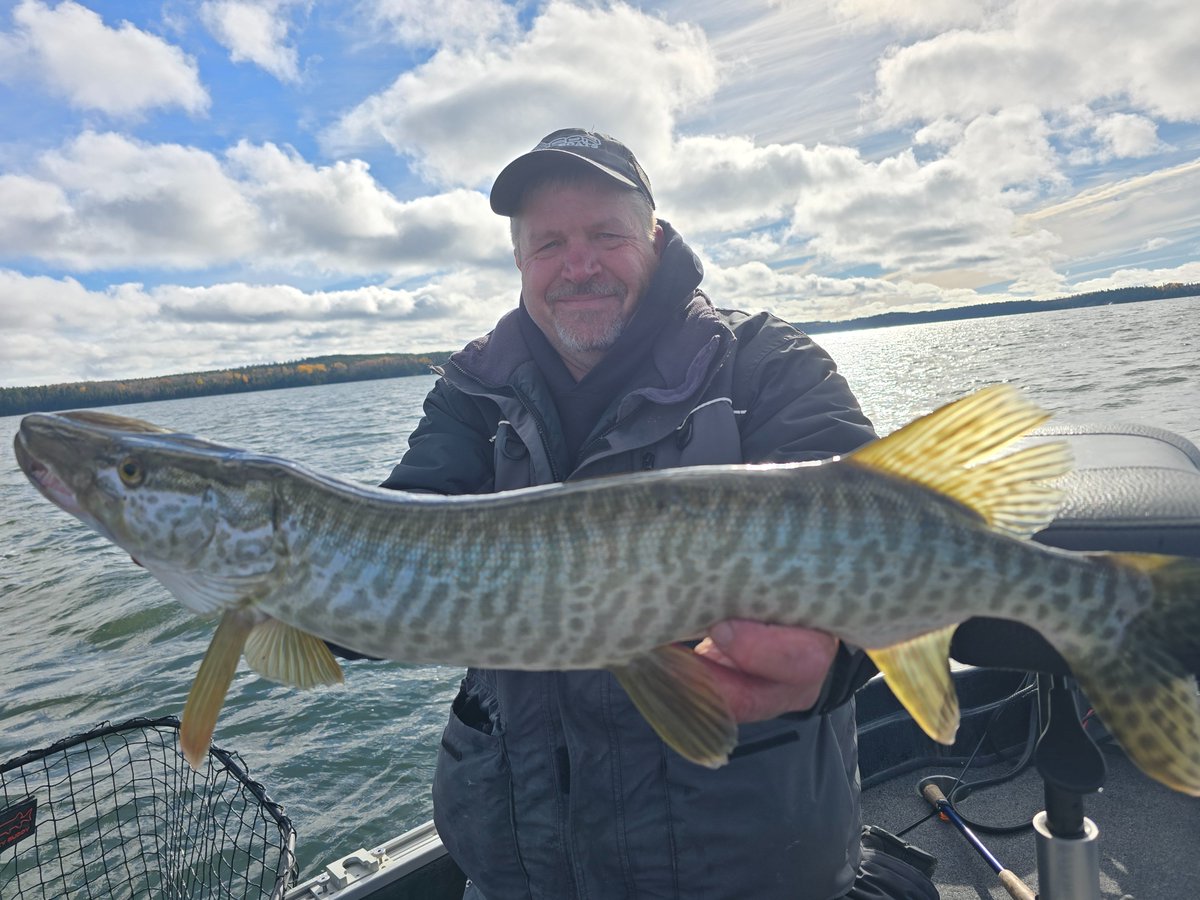 PeteMaina's tweet image. Nothing big, but apparently Friday is hybrid day.

#fridayfun #muskies #muskiessuck