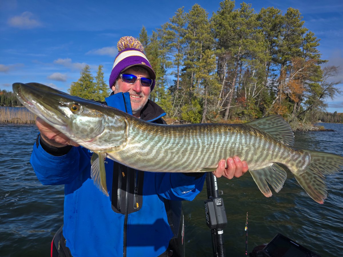 PeteMaina's tweet image. Nothing big, but apparently Friday is hybrid day.

#fridayfun #muskies #muskiessuck