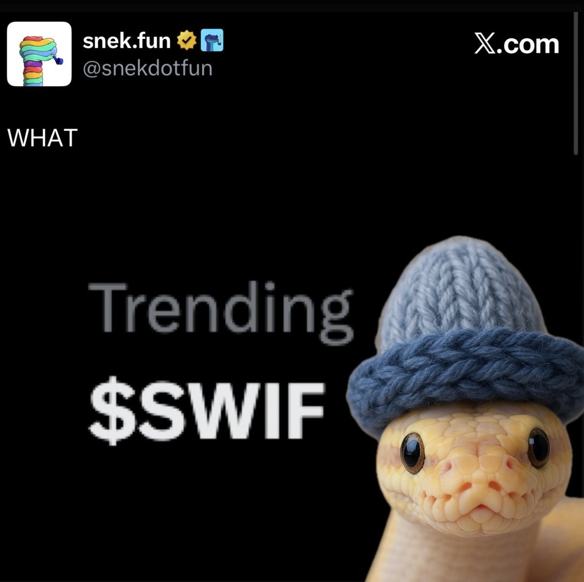 $SWIF | SnakeWifHat tweet media