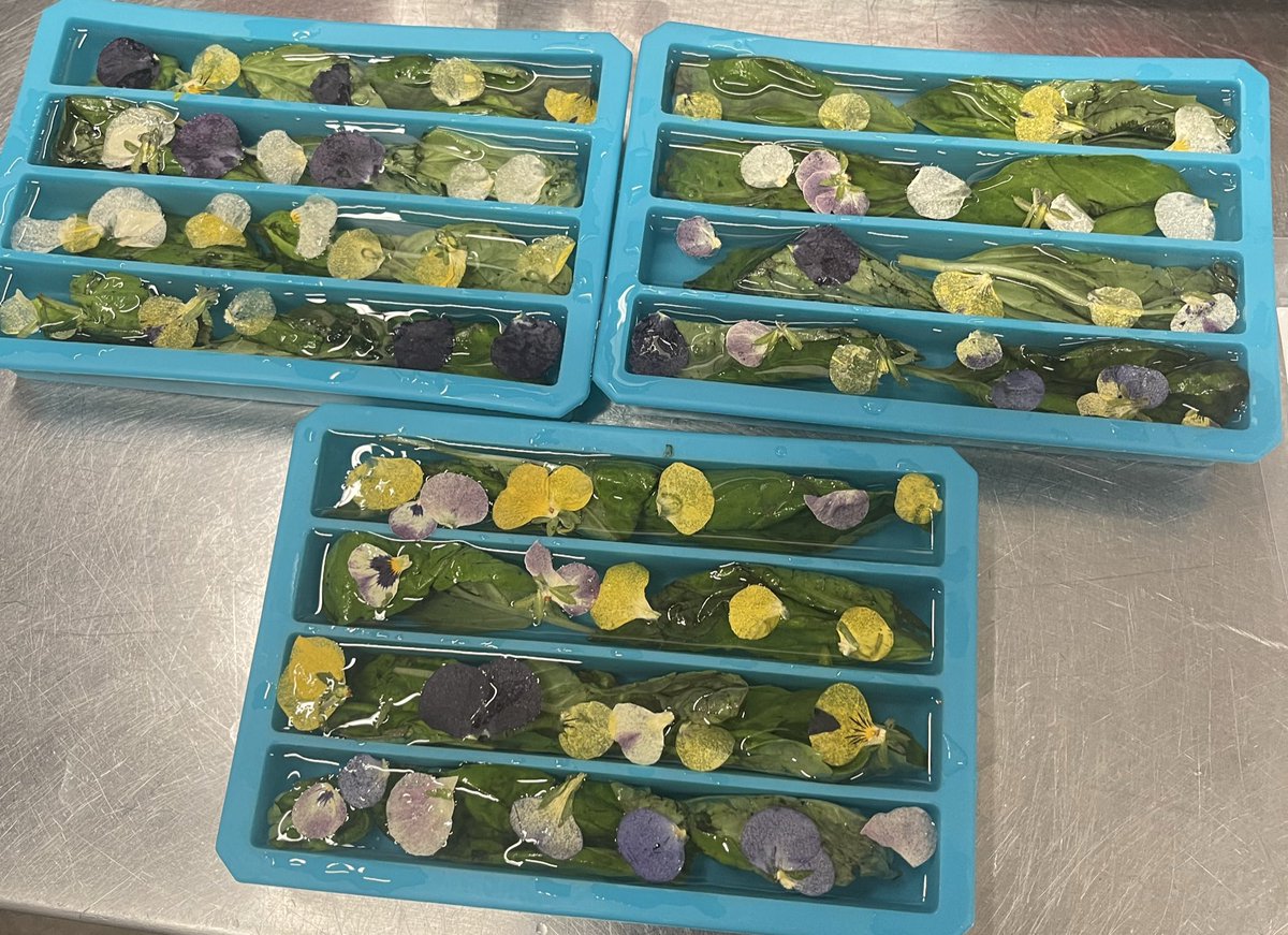 CaseyCastration's tweet image. basil and pansy flower ice cubes 😌 i’m kinda cooking