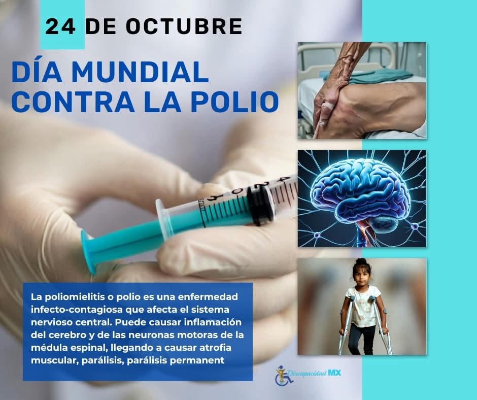 24 de octubre, Día mundial contra la poliomielitis.
facebook.com/share/p/19rk9P…

#DiscapacidadMx #efemerides #polio