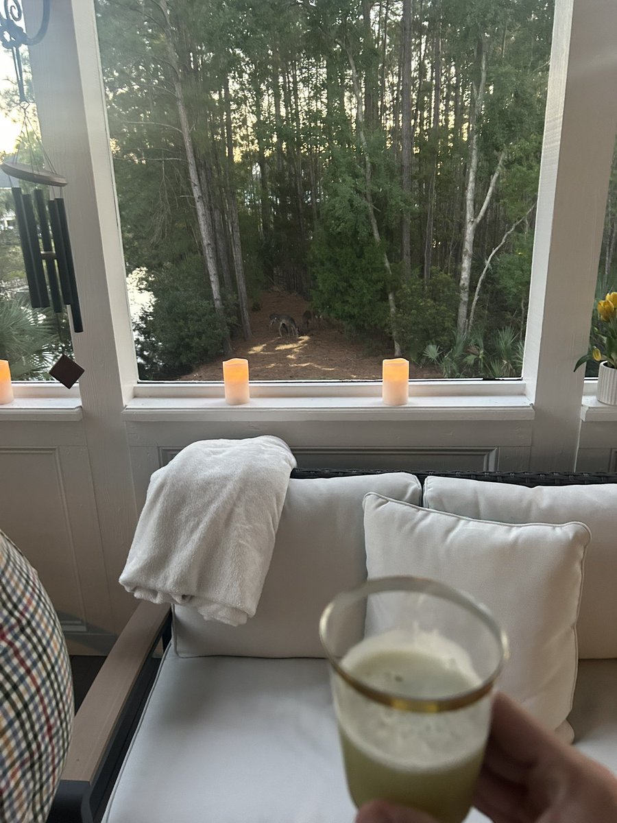 Checking in. Calm Friday night in mt pleasant