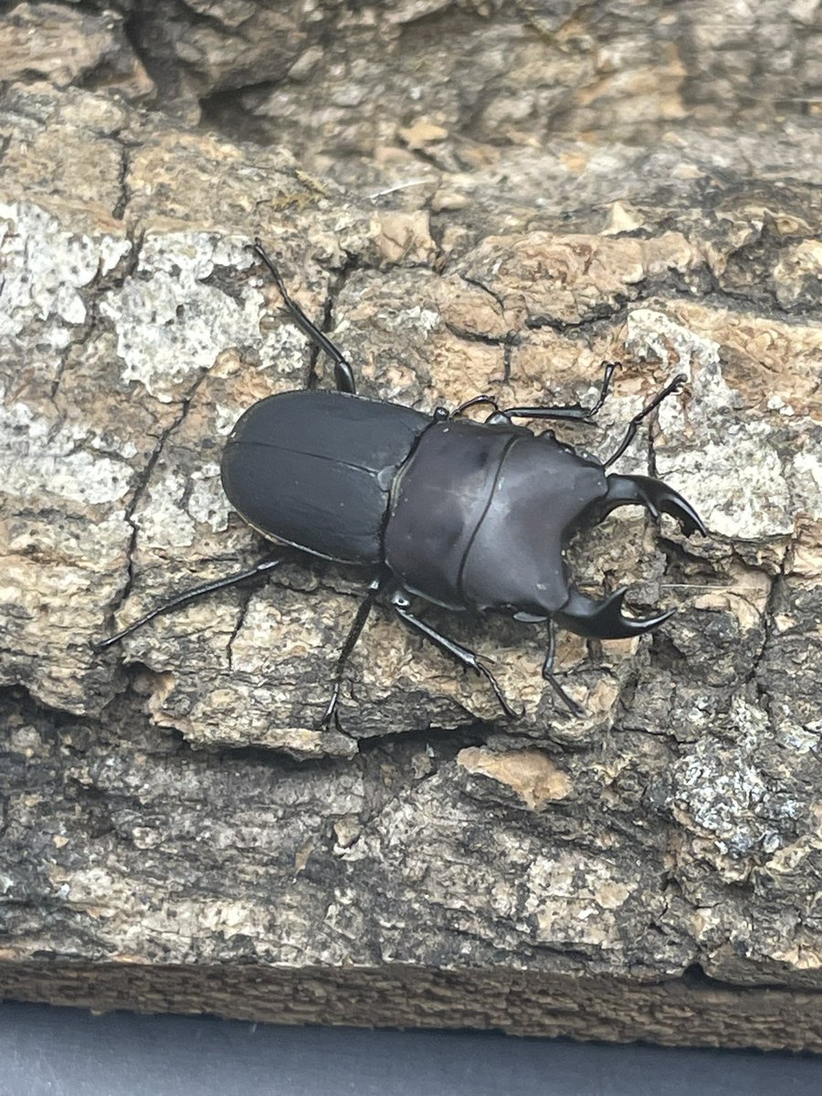 かっつん (@uq4yufhZFyiqsxY) / Posts / X