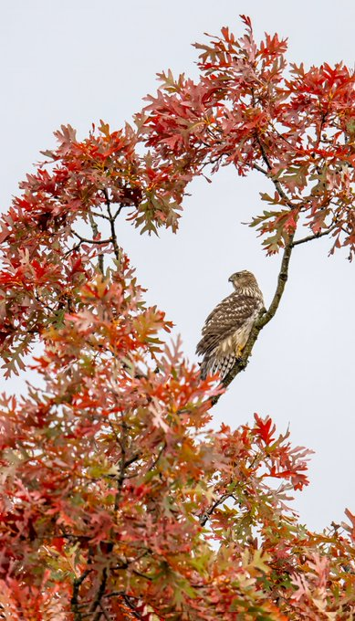 Chilling my weekend thinking about my business journey.