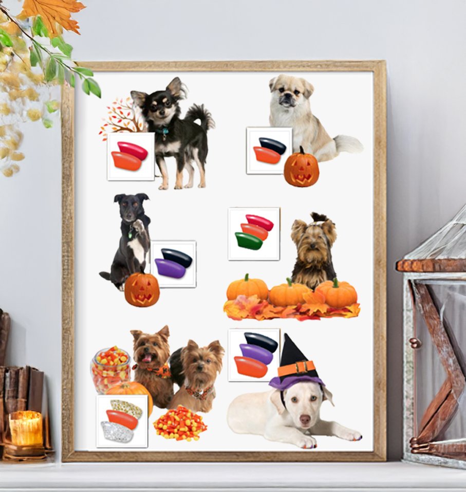 Soft Paws tweet media