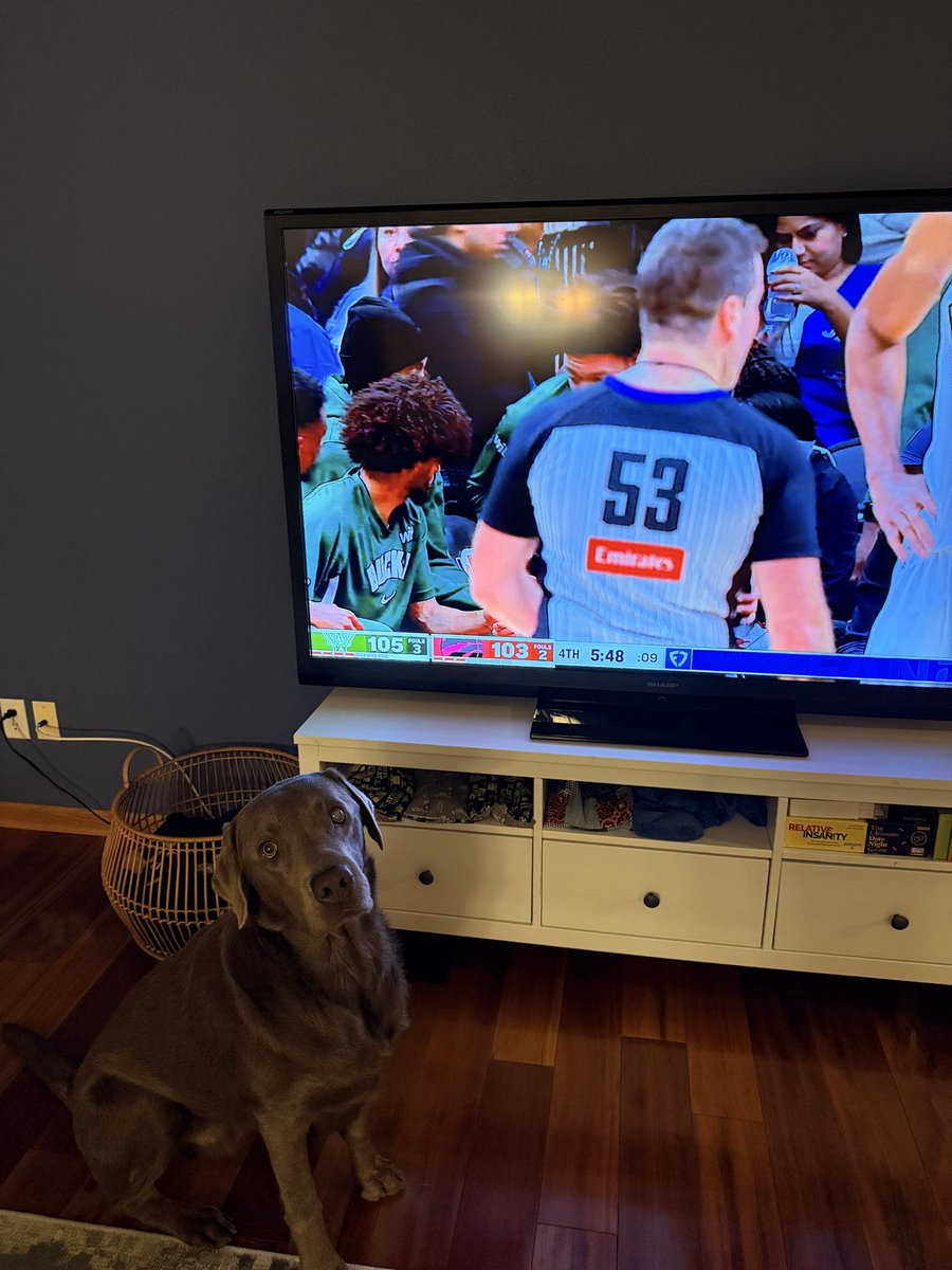 _bcarl_'s tweet photo. #GiannisTheDog only gets dinner if the @Bucks win https://t.co/a1pWnI5ngP