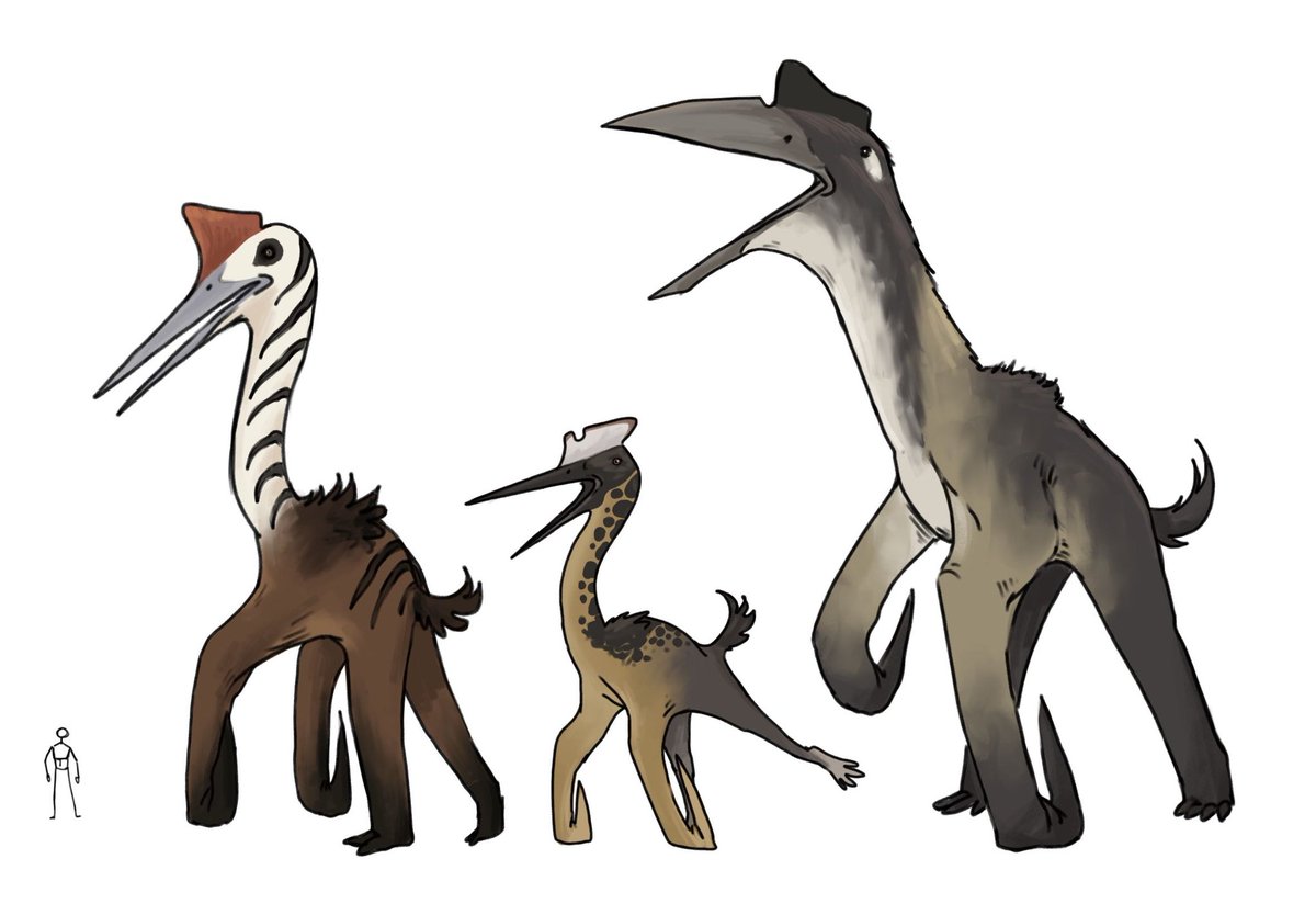 𓆀 WEZDARCHID 🍉 tweet media