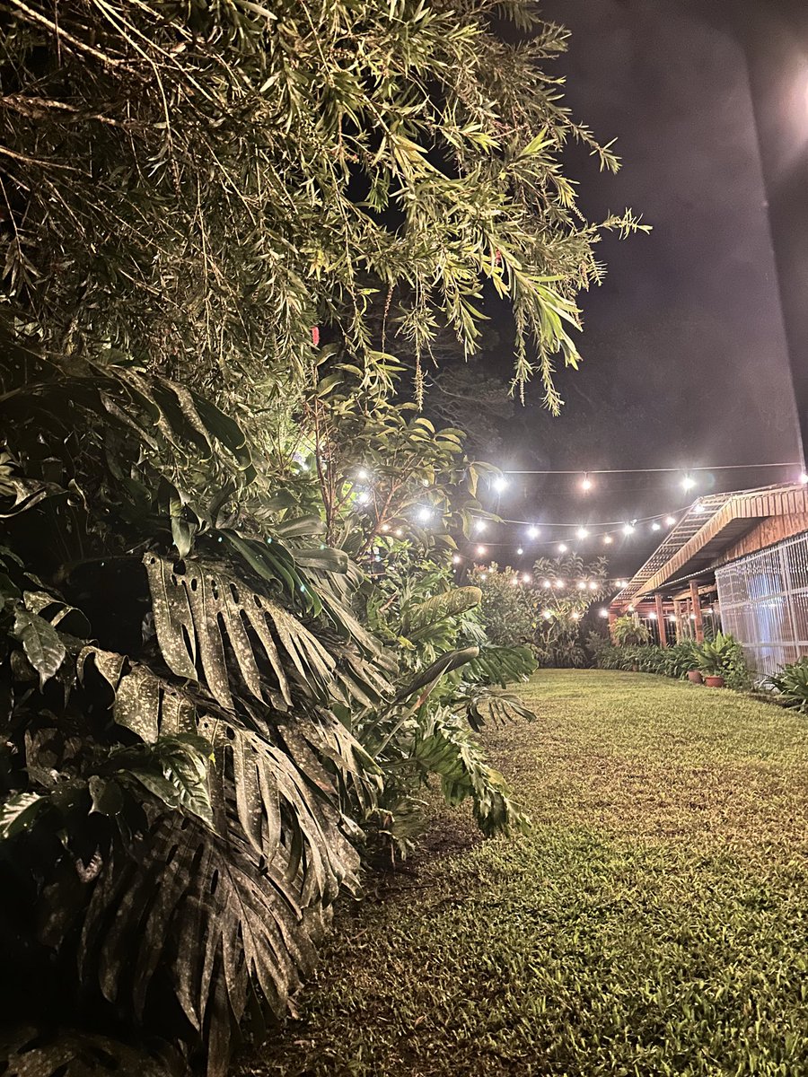 C de chefcito 🏳️‍🌈🇨🇷 tweet media