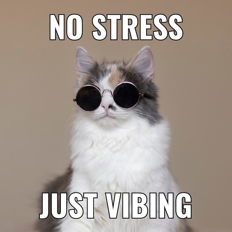cryptsnews's tweet photo. 🐸 Memecoins are still the heartbeat of the market.
Volatility = yes. Utility = maybe.
But community? 🔥 Always.
When everything feels down, memes rise.
Because laughter > fear.
#7EN #MemecoinSeason #CryptoHumor https://t.co/T5nfvkeEUR