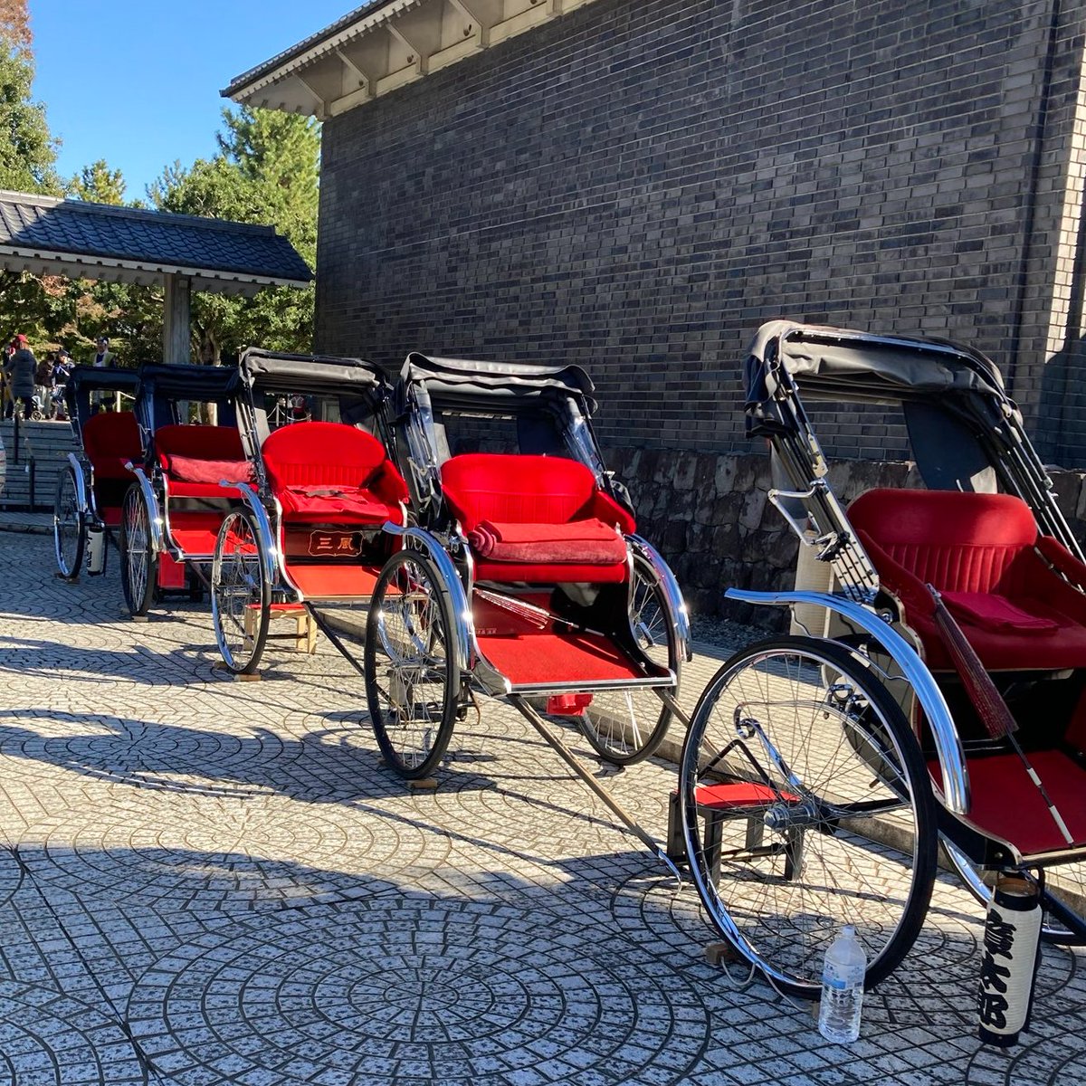 行田花手水タウン特別企画2025のおすすめポイント】 ③花手水人力車