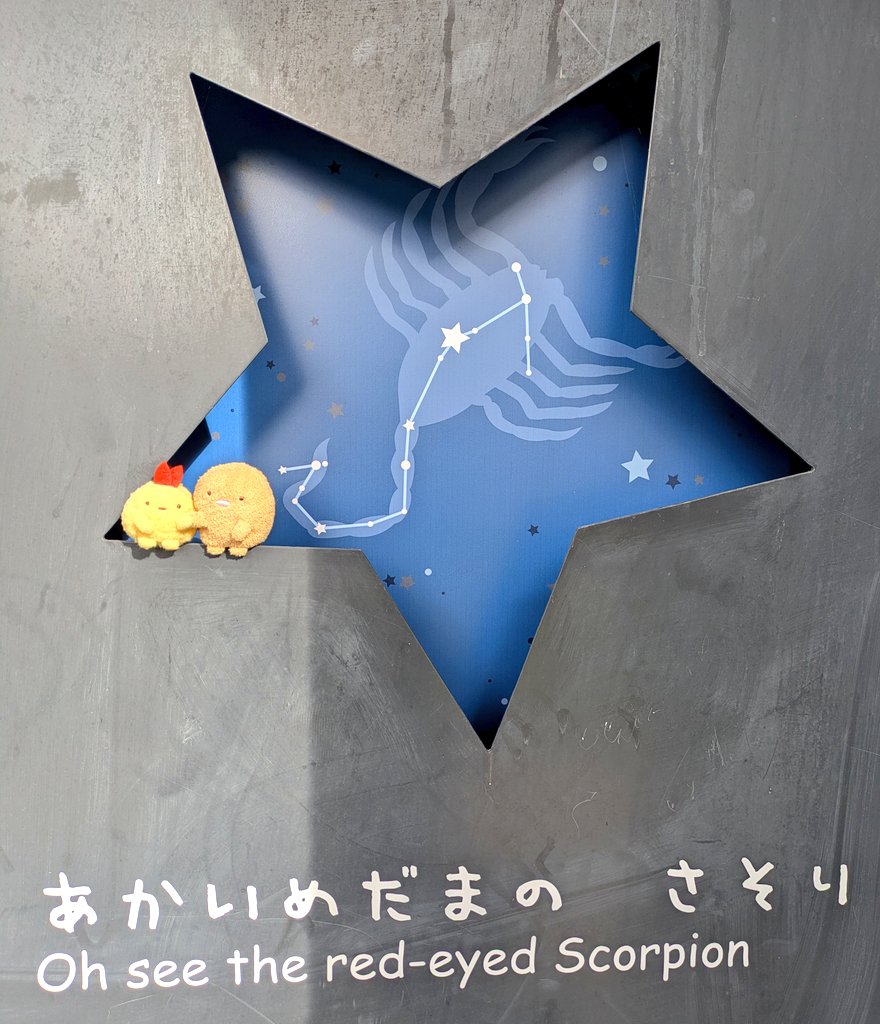 ぷりりん様 ほっけみりん👑 on X