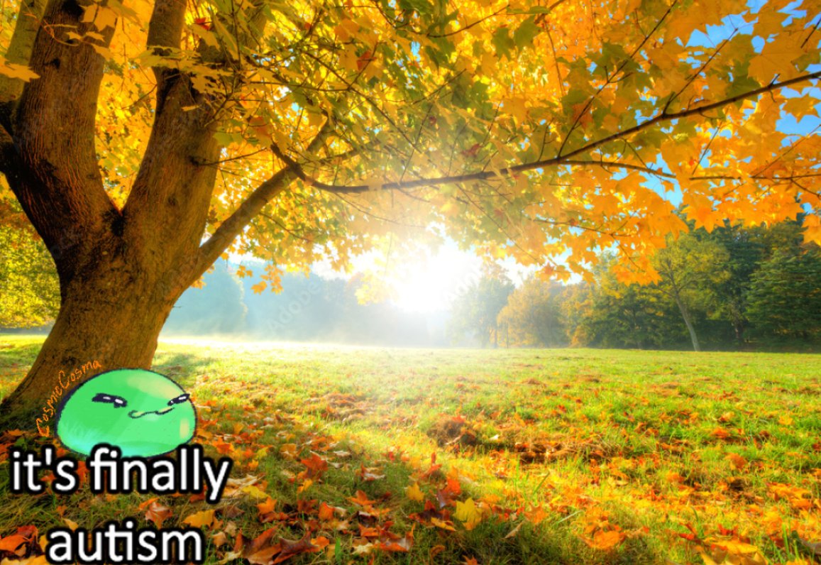 CosmicCosma tweet media