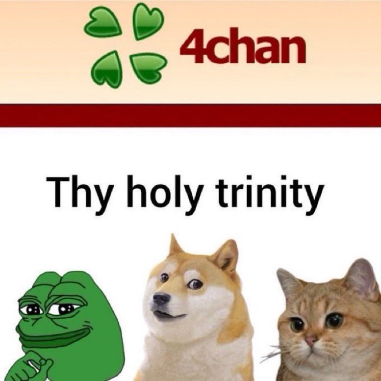 Brypto Bruh 🛞🆙✈️ tweet media