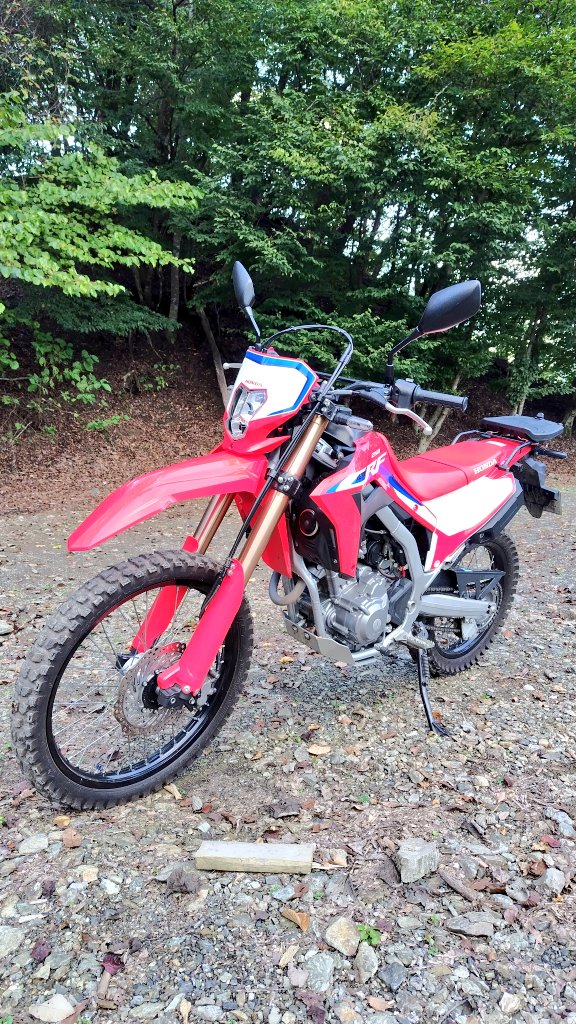 未舗装の林道楽しい😸