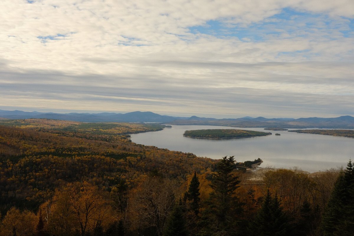 Taylor Swift - mailchi.mp/chenmark/taylo… Lessons from a Showgirl