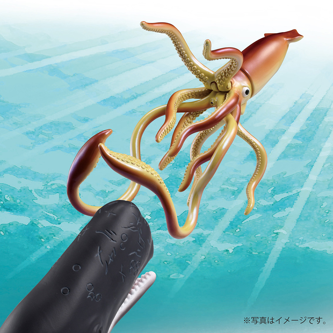 新品　鯨　二頭　色違い アニア AL－34 マッコウクジラ(水に浮くVer.)｜アニア アニマル