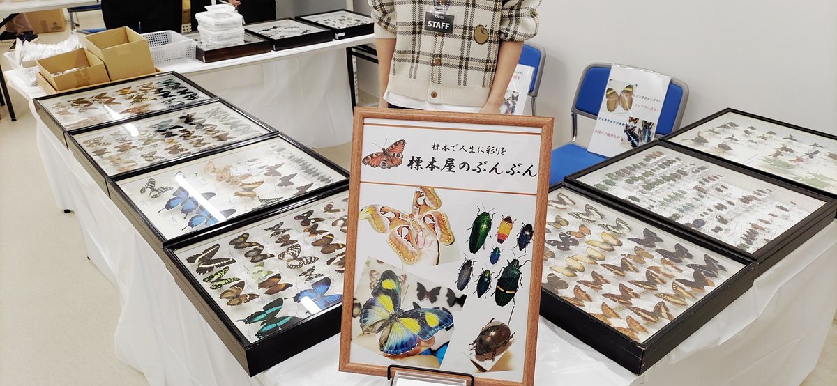 標本　まとめ売り specimen-box4_05-640x640.png