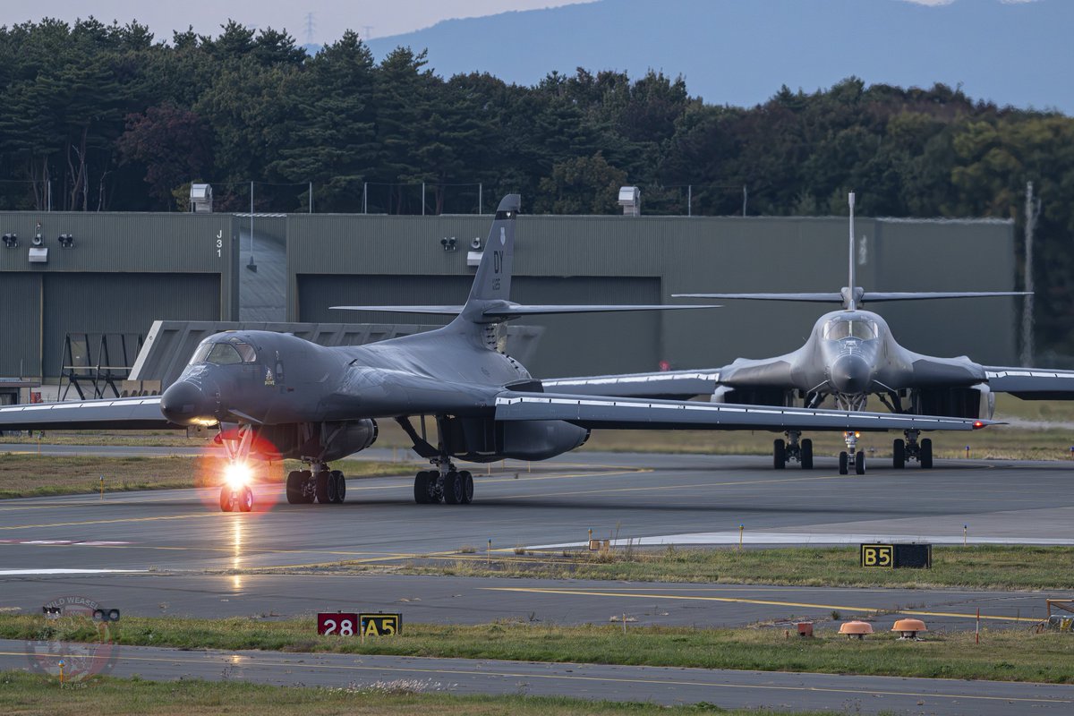 Wild Weasel tweet media