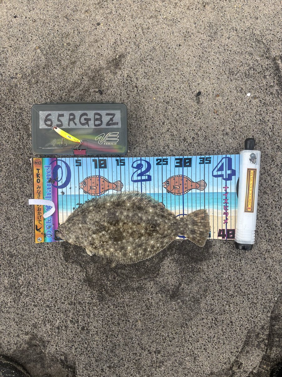 リール mameko Amazon.co.jp: キャスティングタコに タコエギロッド