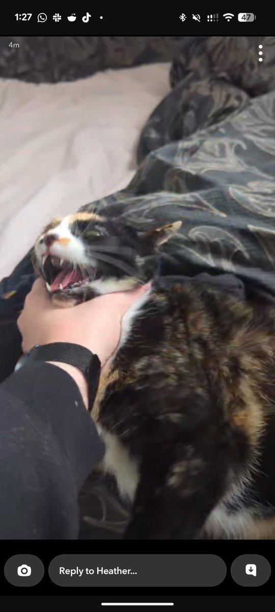 Them bugs when I fuckin GET EM