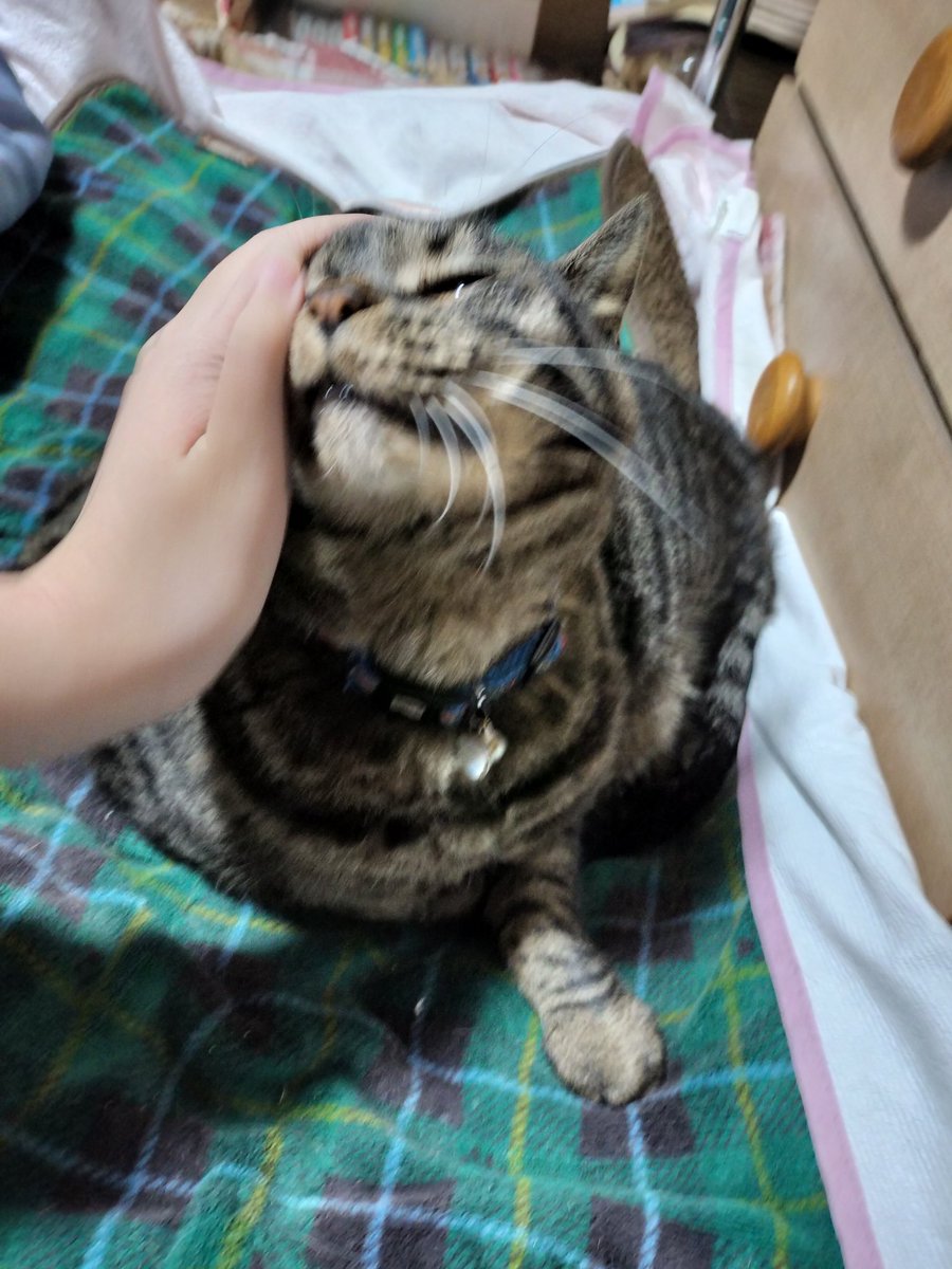 ヒナさん ヒナさん (@unknown_chick24) / Posts / X