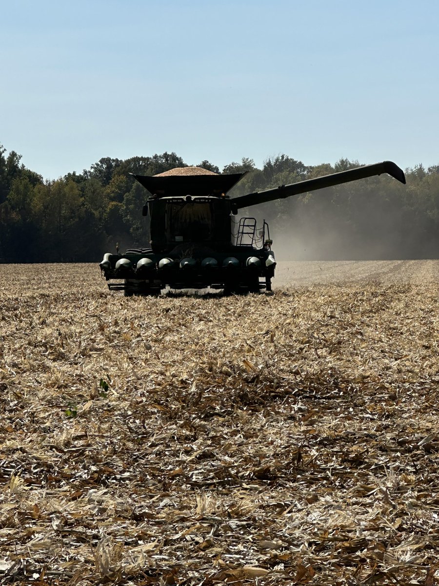 Bodie Kitchel tweet media